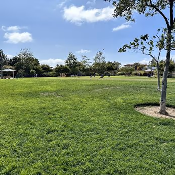 Maggie Houlihan Memorial Dog Park photo 1